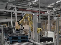 প্যালেটিজিং এবং ডিপ্যালিটিজিং সিস্টেম